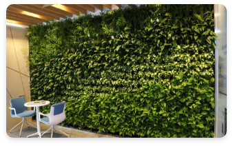 Muro verde artificial